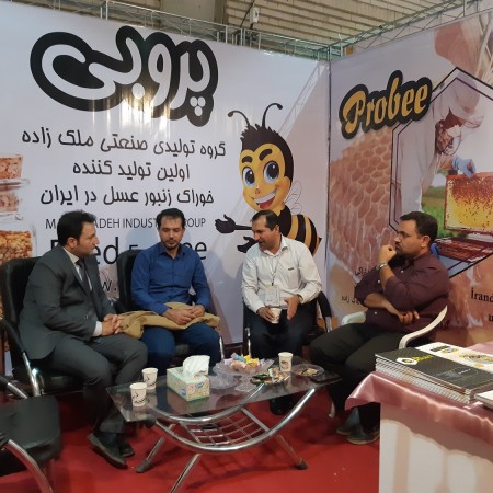 آقایان مهندس سلفیان دکتر بهجتیان مهندس ایزدی