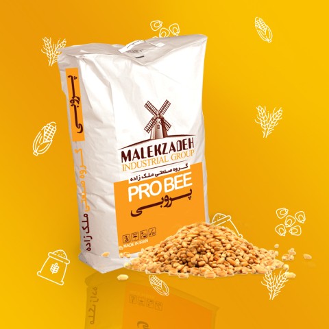 آرد جو پروبی