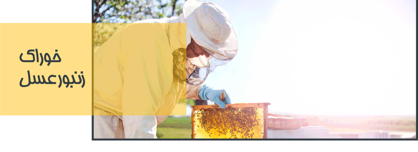 خوراک زنبور عسل پروبی